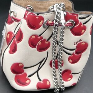 Coach Mini Bucket Bag/Wristlet